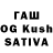 Псилоцибиновые грибы GOLDEN TEACHER Williiam Groves
